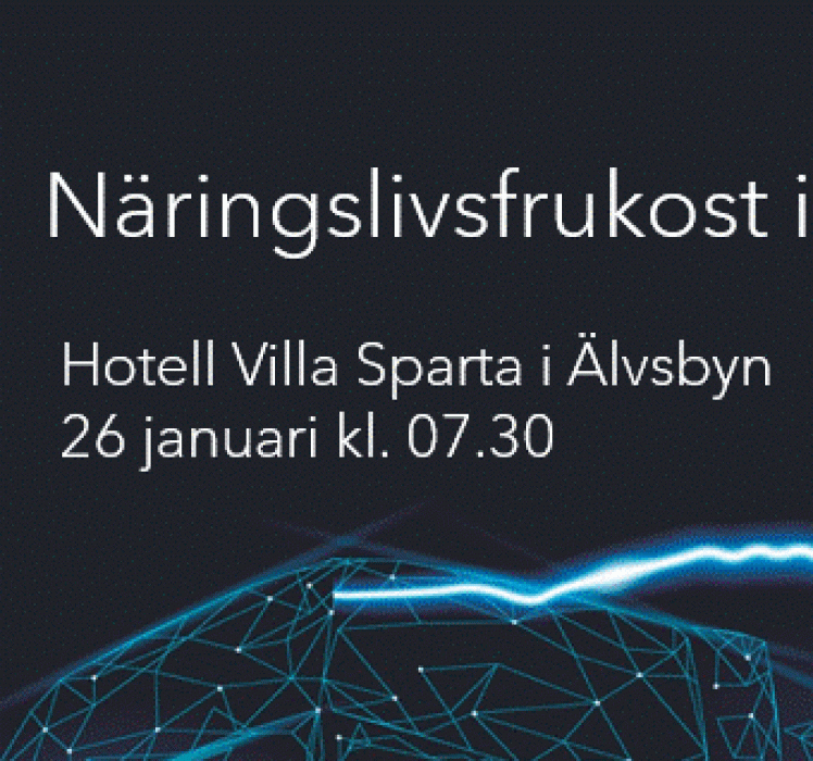 Träffa oss i Älvsbyn 26 januari