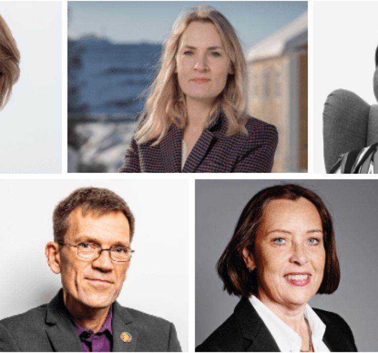 Tunga profiler i styrgruppen för Sustainable Business Bridge